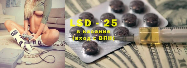 PSILOCYBIN Инсар