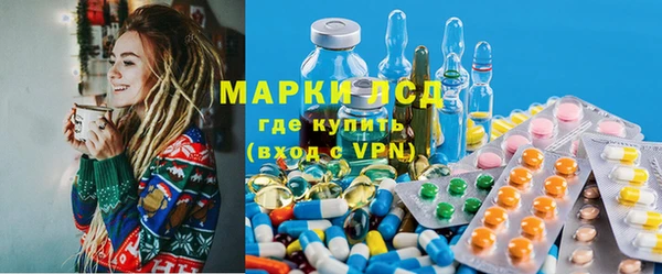 PSILOCYBIN Инсар
