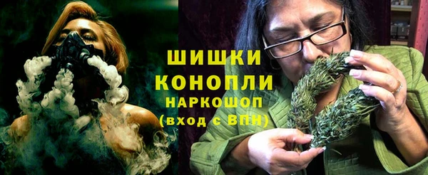 PSILOCYBIN Инсар