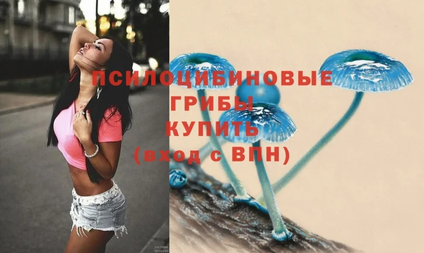 PSILOCYBIN Инсар